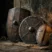 SPF, DKIM, and DMARC: The Three Records That Stop Your Email From Landing in Spam